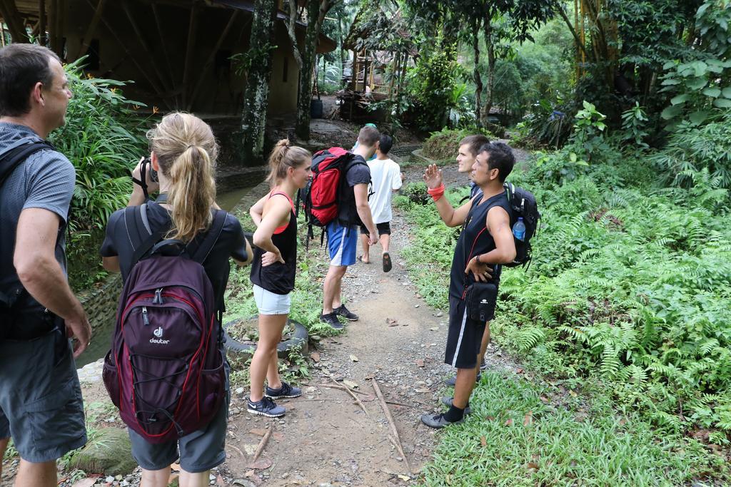 Thomas' Retreat Bukit Lawang Hotel Exterior photo